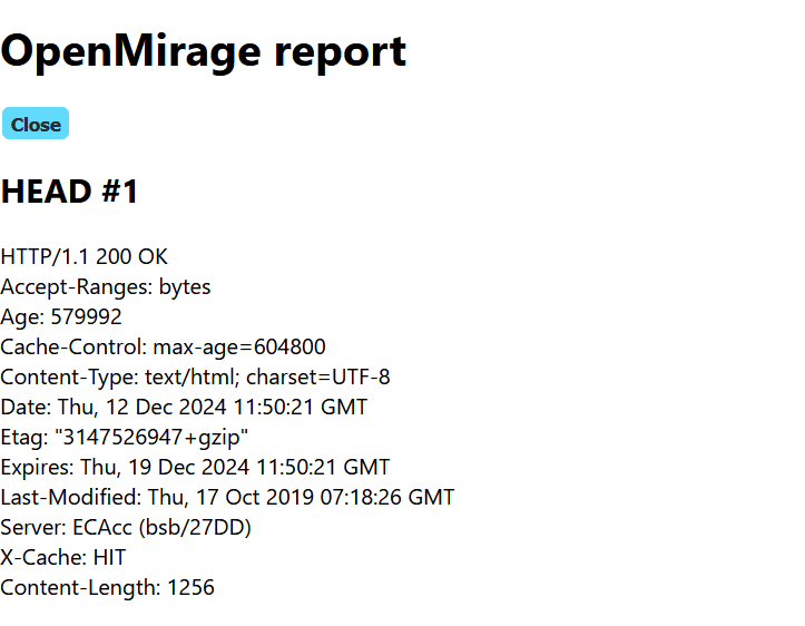 A report displaying HTTP headers