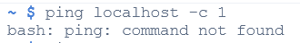 ping command not found